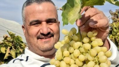 Manisa’nın Sarıgöl ilçesinde örtü altında bekletilen ve ilk günkü tazeliğini