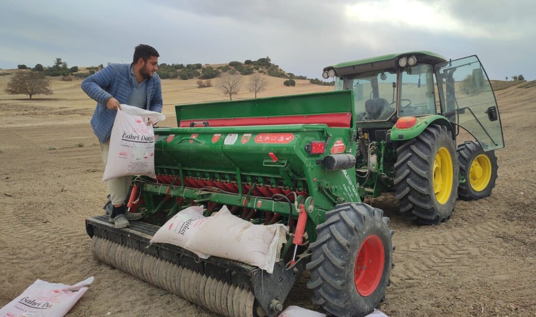 Denizli’nin Çal ilçesinde, Tarım ve Orman Bakanlığı Bahri Dağdaş Uluslararası