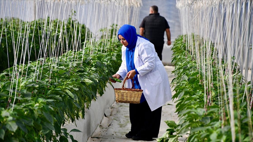 Tarım ve Orman Bakanlığı, organik ve iyi tarım uygulamaları kapsamında