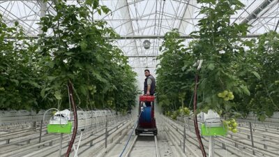 Tarım ve Orman Bakanı Yumaklı, Denizli'nin Sarayköy ilçesinde faaliyete geçen