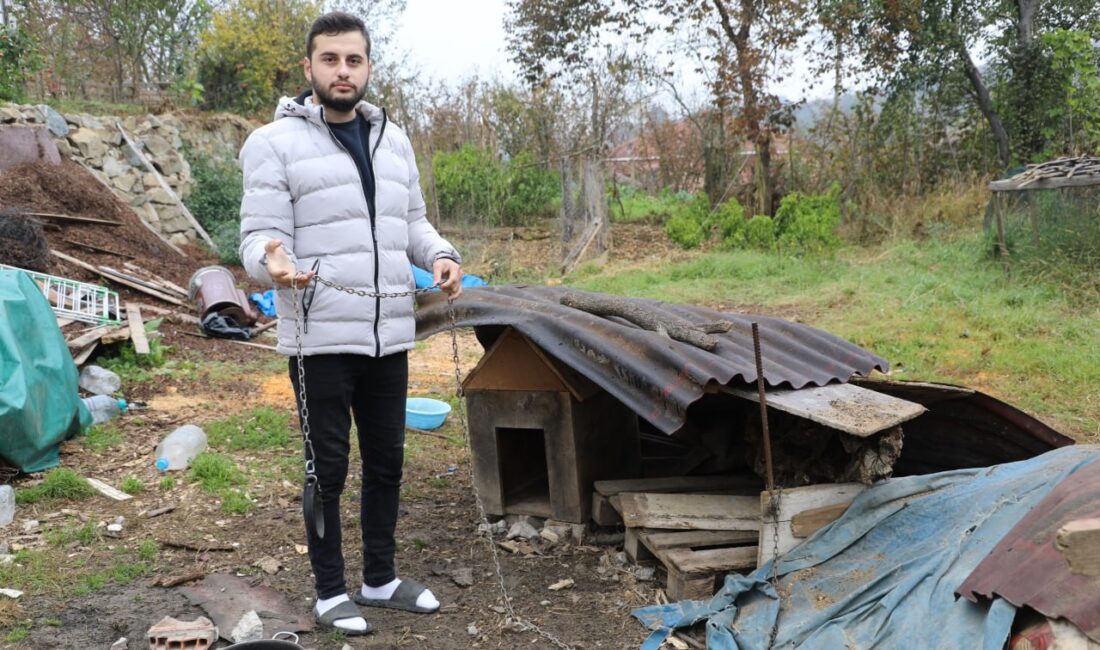 Sakarya'nın Karasu ilçesinde bahçelerinde beslediği köpeğin çalındığını düşünen aile, güvenlik