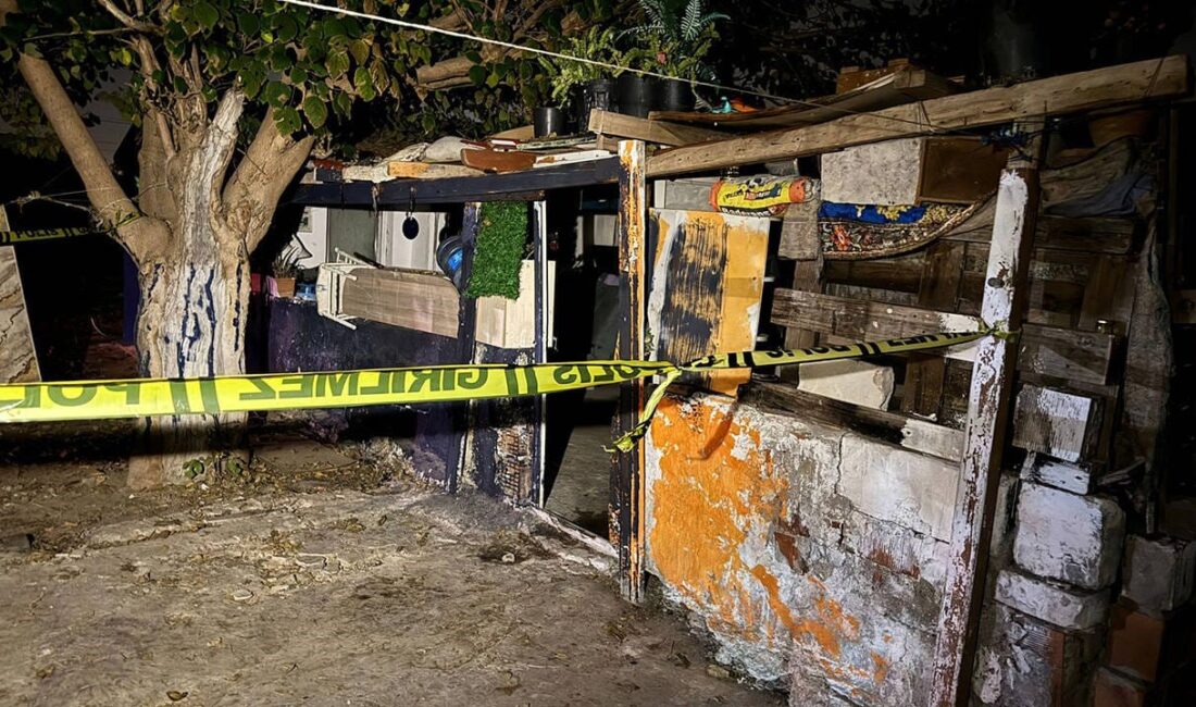 İzmir’in Selçuk ilçesinde, elektrikli sobanın devrilmesi sonucu çıkan yangında 5