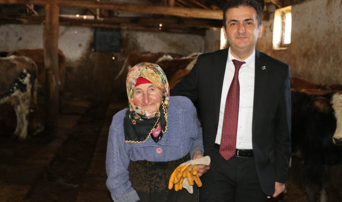 Erzincan merkeze bağlı Gümüştarla köyünde yaşayan 79 yaşındaki Dilber Çataltepe’nin