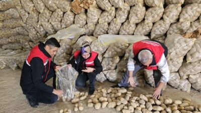 Afyonkarahisar’dan, Tunus ve Azerbaycan’a yaklaşık 300 ton patates ihracatı yapıldığı