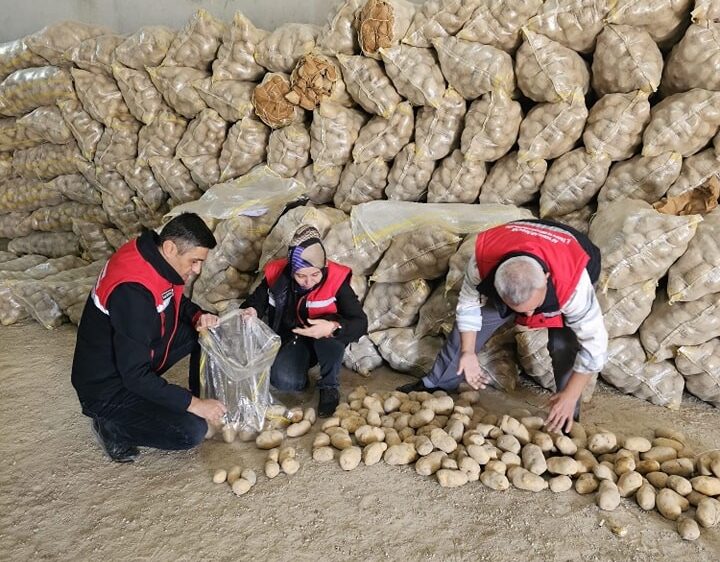 Afyonkarahisar’dan, Tunus ve Azerbaycan’a yaklaşık 300 ton patates ihracatı yapıldığı