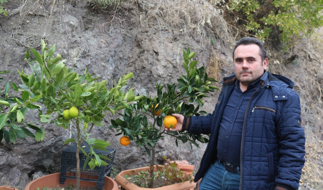 Çorum'un Oğuzlar ilçesinde yaşayan 44 yaşındaki marangoz, karasal iklimin yaşandığı