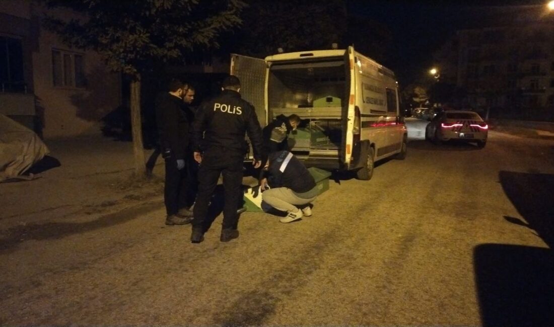 Çorum'un Osmancık ilçesinde psikolojik sorunları bulunan kadın, gece yarısı evini