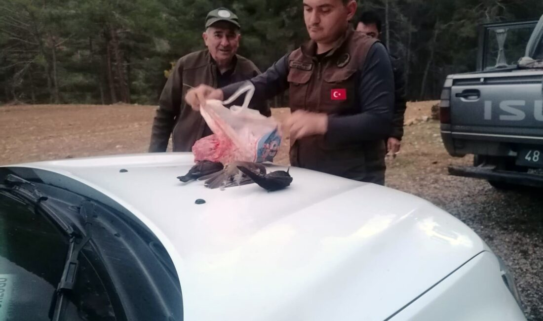 Doğa Koruma ve Milli Parklar Muğla İl Şube Müdürlüğünün av