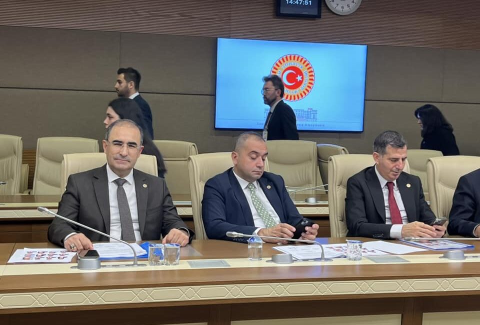 Bebek ölümlerinin araştırılması için komisyon oluşturuldu. AK Parti Afyonkarahisar Milletvekili