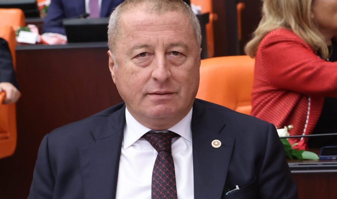 İYİ Parti Genel Başkan Yardımcısı ve Afyonkarahisar Milletvekili Hakan Şeref