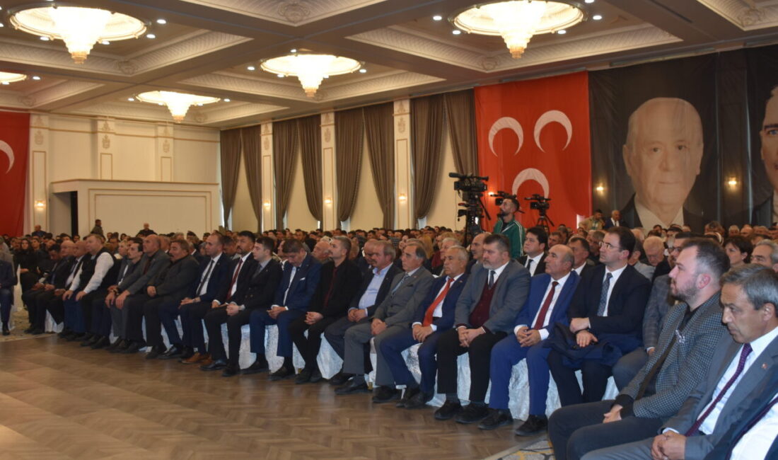 - MHP Genel Sekreter Yardımcısı Vahit Kayrıcı:
- "MHP olarak, günü