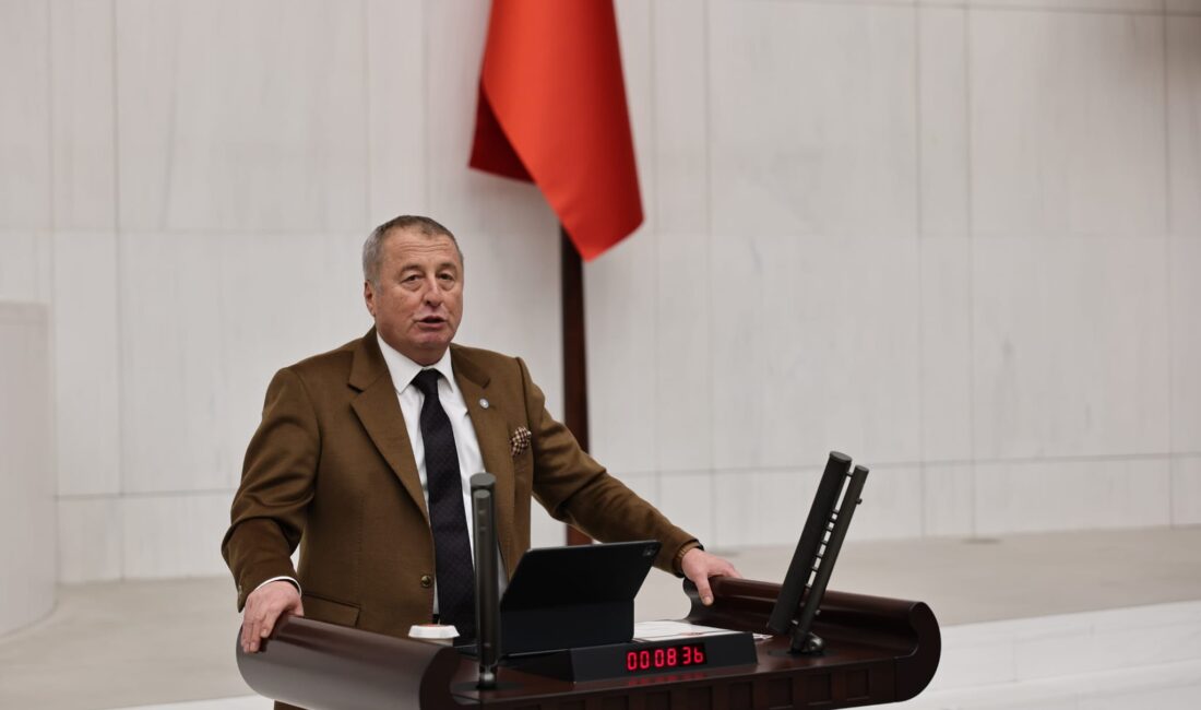 
Mecliste konuşan İYİ Parti Genel Başkan Yardımcısı ve Afyonkarahisar Milletvekili