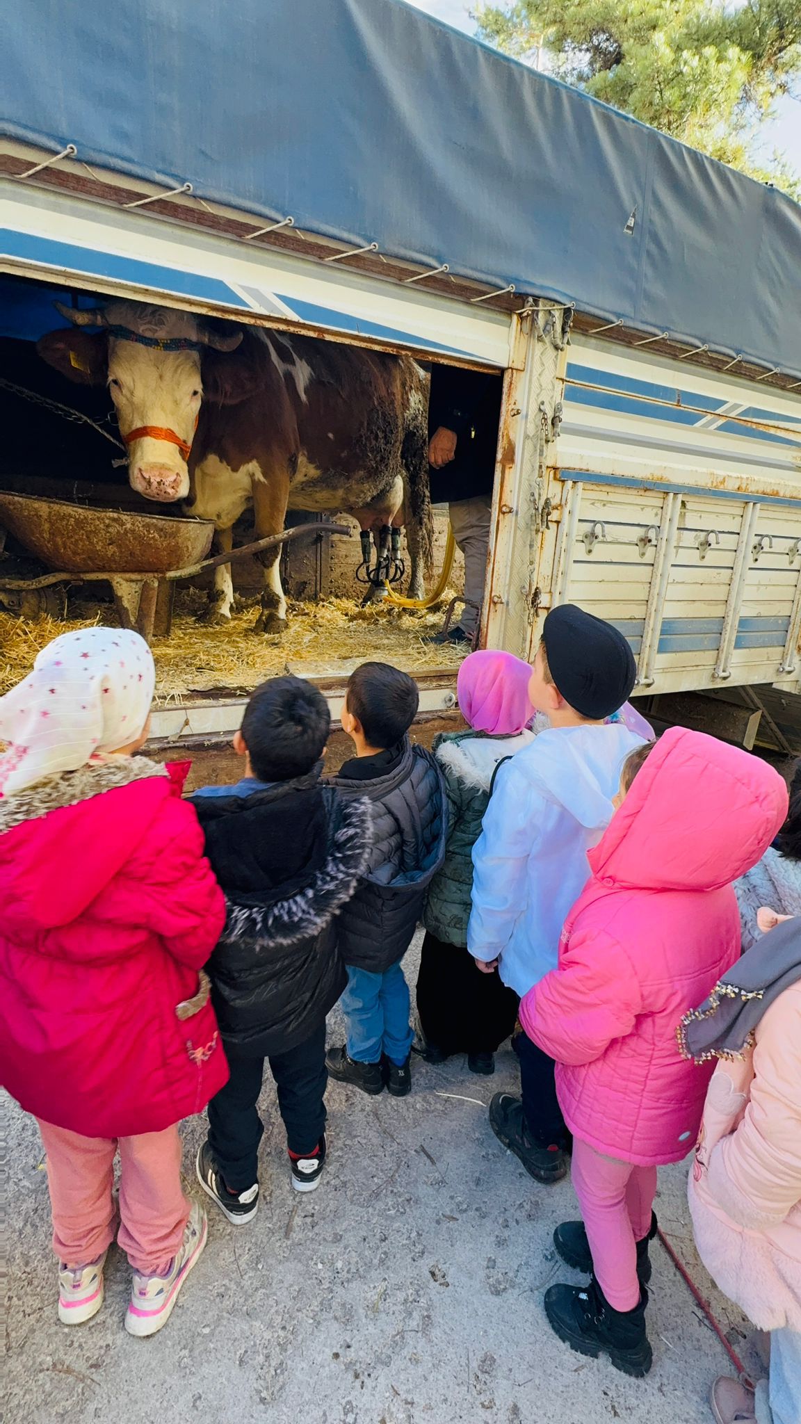 Afyonkarahisar Kocatepe İlkokulu’nda Yerli Malı Haftası, uygulamalı gerçekleştirildi. Bir veli,