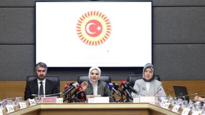 Aile ve Sosyal Hizmetler Bakanı Mahinur Özdemir Göktaş, TBMM Kadına