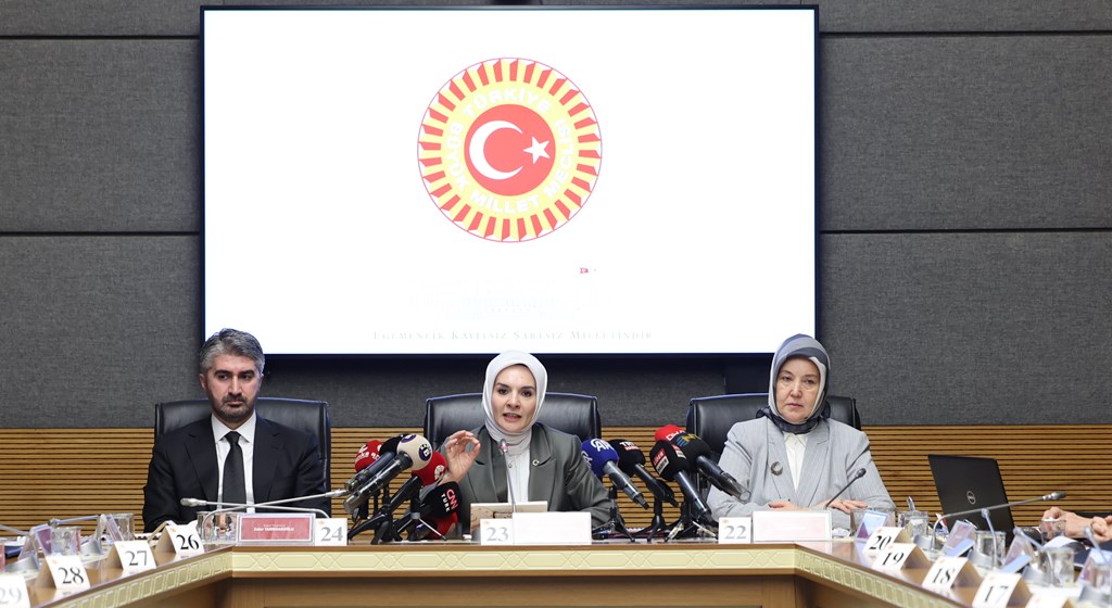 Aile ve Sosyal Hizmetler Bakanı Mahinur Özdemir Göktaş, TBMM Kadına