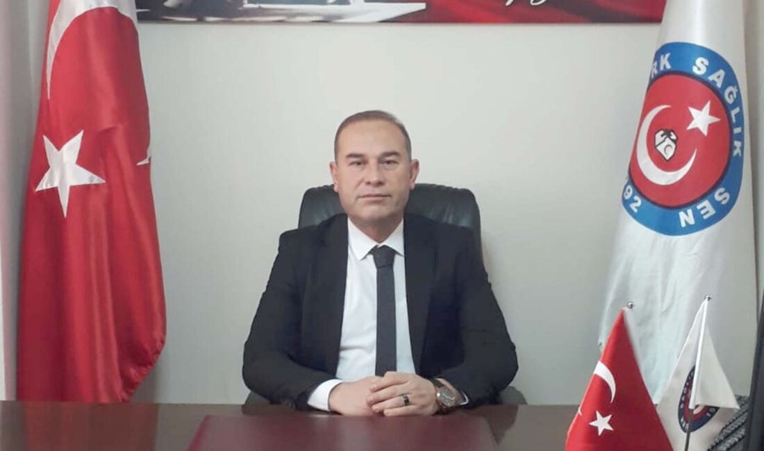 Türk Sağlık Sen Afyonkarahisar Şube Başkanı Mehmet Ali Öztürk, “Bugün