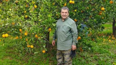 Aydın’da bu yıl narenciye üreticileri umduğunu bulamazken, Kuyucak ilçesinde portakal