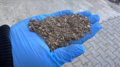 
Çiftçi kooperatif kuruluşu olan Konya Şeker'in tesisinde büyükbaş hayvan kemiğinden