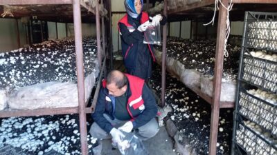 Afyonkarahisar Tarım ve Orman İl Müdürlüğü denetim ekipleri 2012 yılından