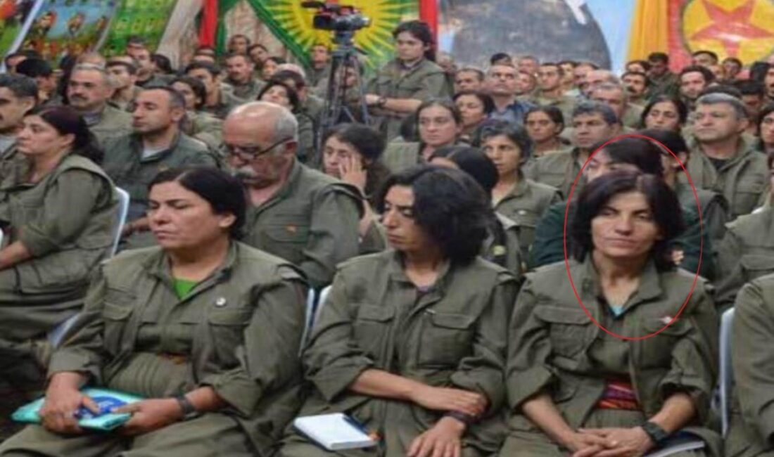 Milli İstihbarat Teşkilatı (MİT), PKK/KCK’nın kadın örgütlenmesi PAJK’ın sözde sorumlularından,