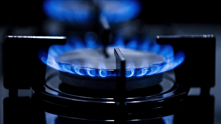 Boru Hatları ile Petrol Taşıma AŞ (BOTAŞ), Aralık ayı itibarıyla
