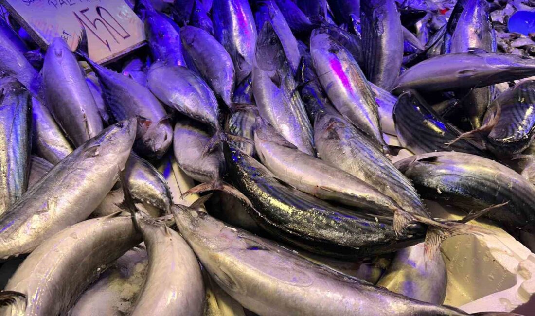 Eskişehir’de soğuk havaların artması sonrasında fiyatları 250 ila 300 lira