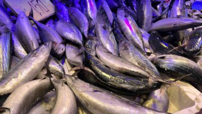 Eskişehir’de soğuk havaların artması sonrasında fiyatları 250 ila 300 lira