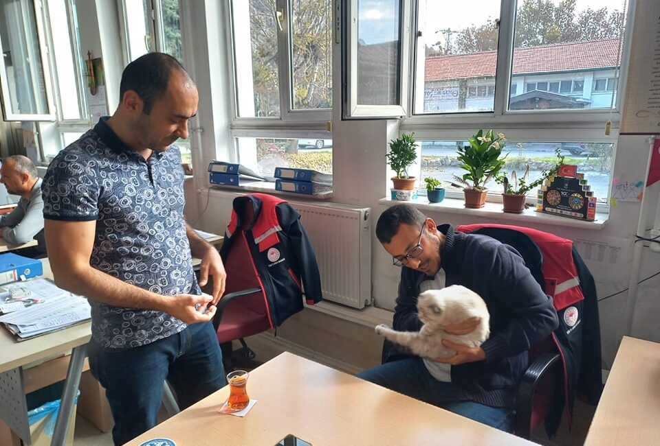 Afyonkarahisar İl Tarım ve Orman Müdürlüğü, her yaştan ev hayvanlarının