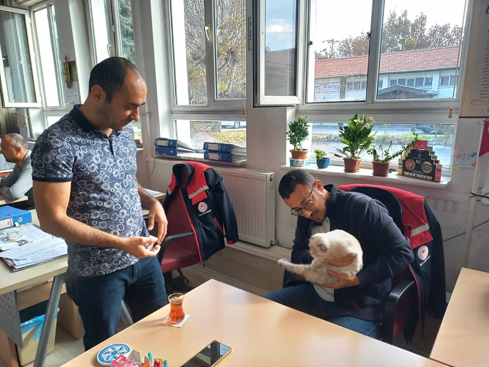 Afyonkarahisar İl Tarım ve Orman Müdürlüğü, her yaştan ev hayvanlarının