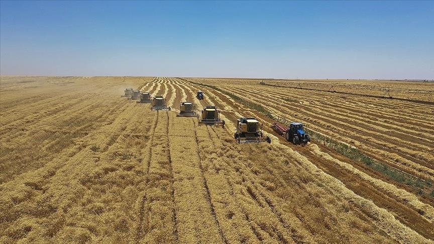 Ulusal Hububat Konseyi Yönetim Kurulu Başkanı Özkan Taşpınar, üretim planlamasıyla