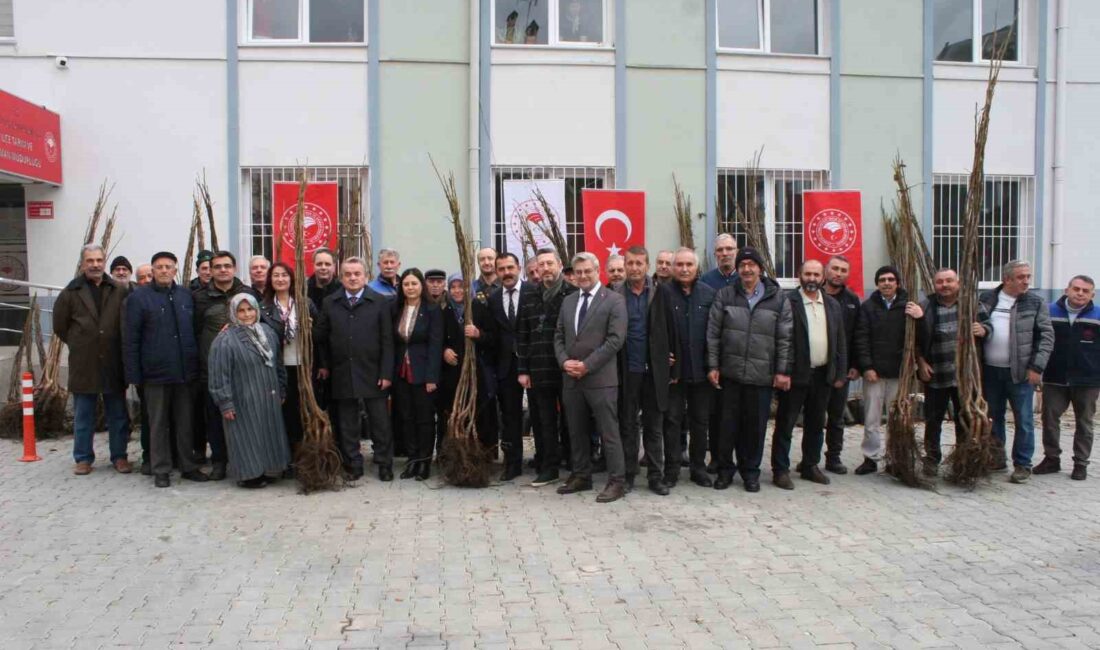 Bozüyük’te çiftçilere meyve fidanı dağıtıldı
Bilecik İl Tarım ve Orman Müdürlüğünce hazırlanan "Meyveciliği Geliştirme" projesi