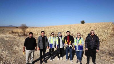 Denizli Büyükşehir Belediyesi, üretimin ve hayvancılığın desteklenmesi ve bölge ekonomisine