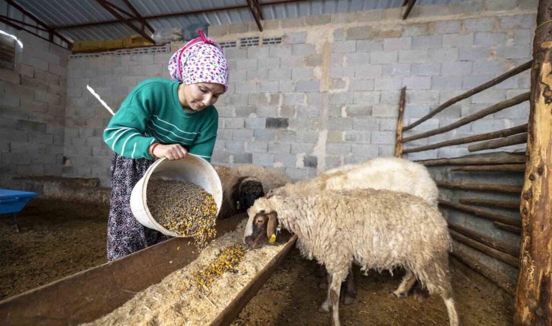 Mersin Büyükşehir Belediyesinin Türkiye’ye örnek olan yönetim projelerinden ’Hadi Gel