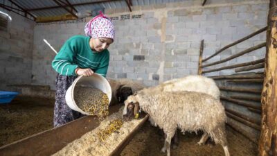 Mersin Büyükşehir Belediyesinin Türkiye’ye örnek olan yönetim projelerinden ’Hadi Gel