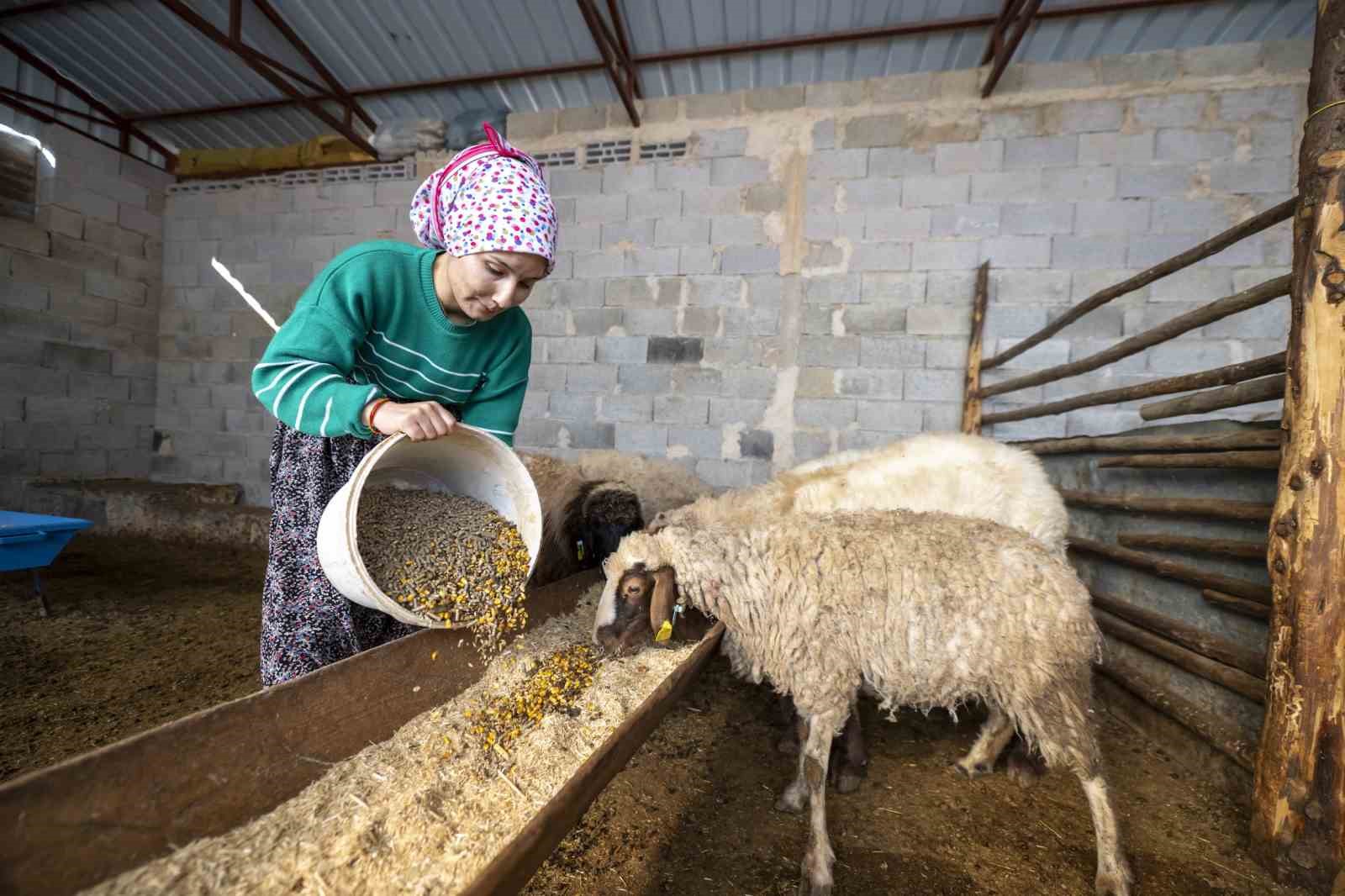 Mersin Büyükşehir Belediyesinin Türkiye’ye örnek olan yönetim projelerinden ’Hadi Gel