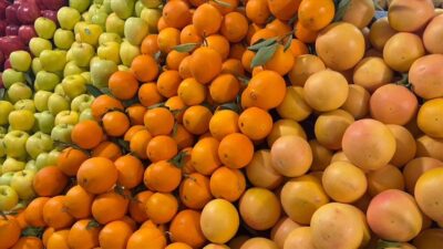 
Hazine ve Maliye Bakanlığı Gelir İdaresi Başkanlığı (GİB), kayıt dışı