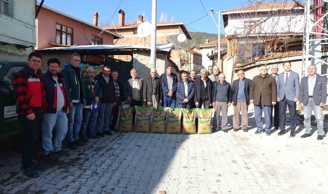Kütahya’nın Tavşanlı ilçesi Dağdemirli köyünde 2024 yılında doğal afetlerden zarar