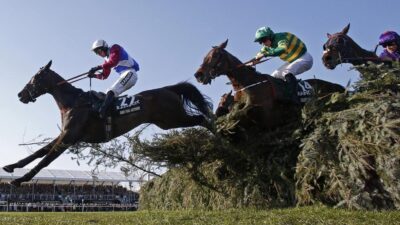 Saatler süren tır yolculuğunun ardından, yüzlerce at çiftliğe varınca sevinçle