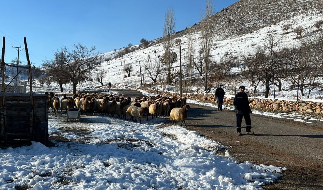 Malatya'nın kırsal kesimlerinde, soğuk hava ve zorlu kış koşullarına rağmen