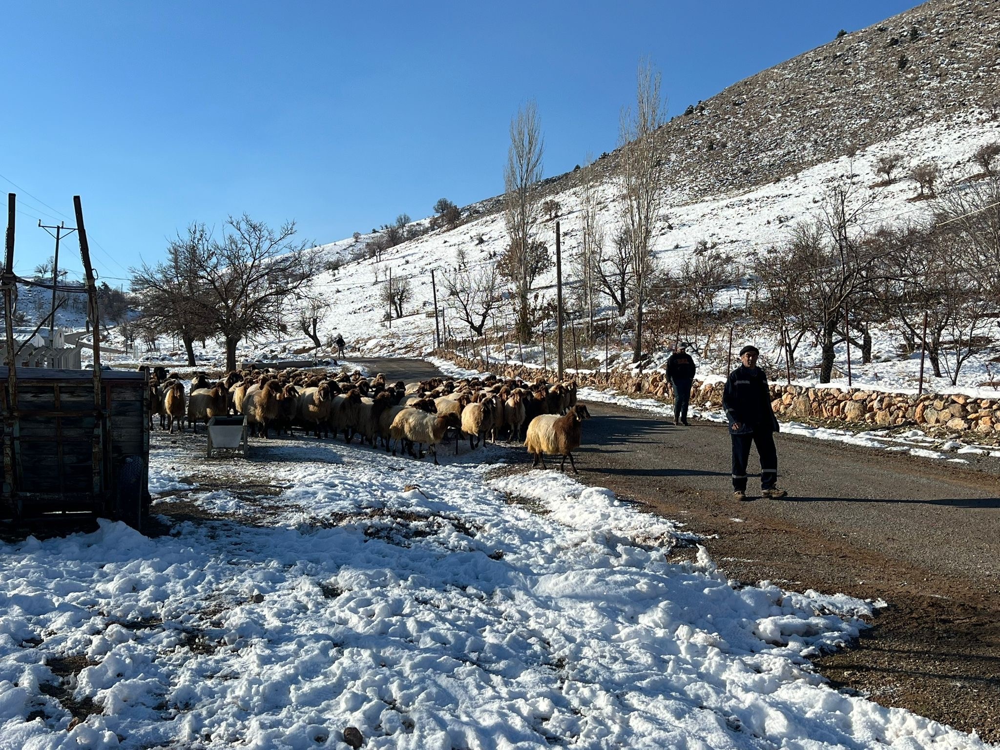Malatya'nın kırsal kesimlerinde, soğuk hava ve zorlu kış koşullarına rağmen