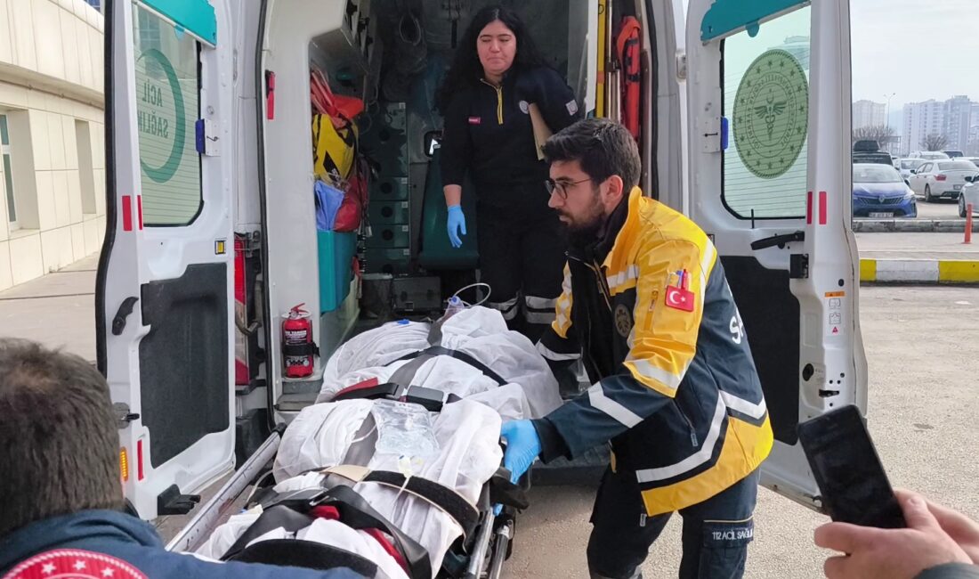 Sivas'ta domuz avına çıkan ve ayı saldırısına uğrayarak ağır yaralanan