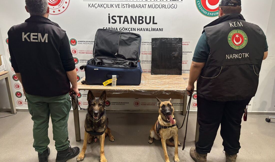 Ticaret Bakanlığı İstanbul Gümrük Muhafaza Kaçakçılık ve İstihbarat Müdürlüğü ekiplerince