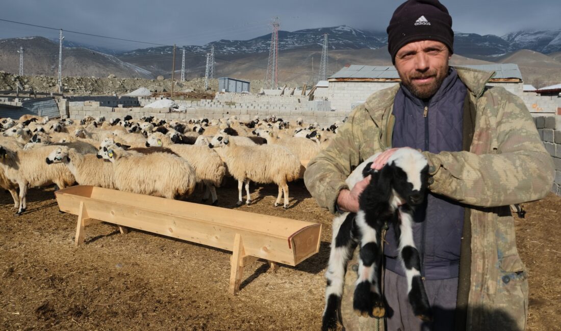 Erzincan’da, yıllardır hayvancılıkla uğraşan köylülerin ürettiği tulum peyniri, tüketiciye ulaşana