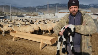 Erzincan’da, yıllardır hayvancılıkla uğraşan köylülerin ürettiği tulum peyniri, tüketiciye ulaşana
