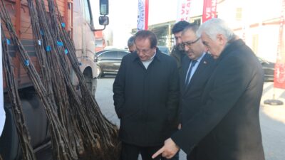 Denizli’de 2017 yılında başlatılan ve geçen yıl 536 bin adetle