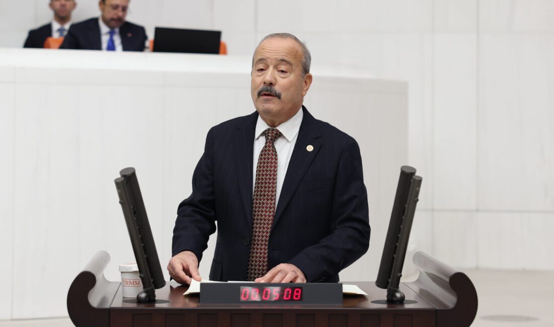 
Milliyetçi Hareket Partisi Afyonkarahisar Milletvekili Mehmet Taytak:  İnsanlığın umudu Türk