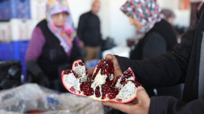 Türkiye'nin nar üretiminin yüzde 21'i, yaş meyve ve sebze üretiminin