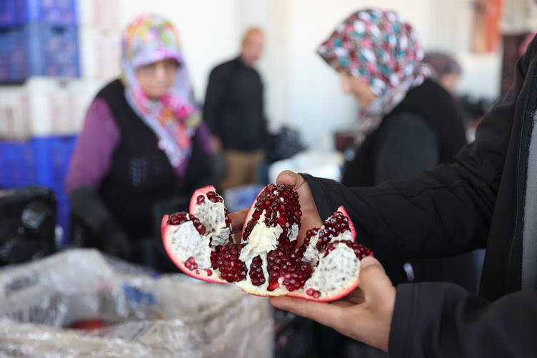 Türkiye'nin nar üretiminin yüzde 21'i, yaş meyve ve sebze üretiminin