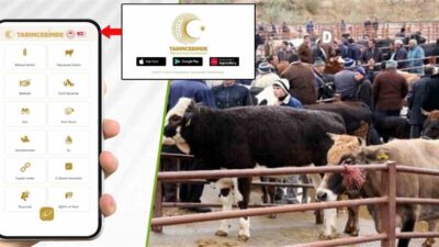 Tarım ve Orman Bakanı İbrahim Yumaklı, tarımsal üretim ile ilgili