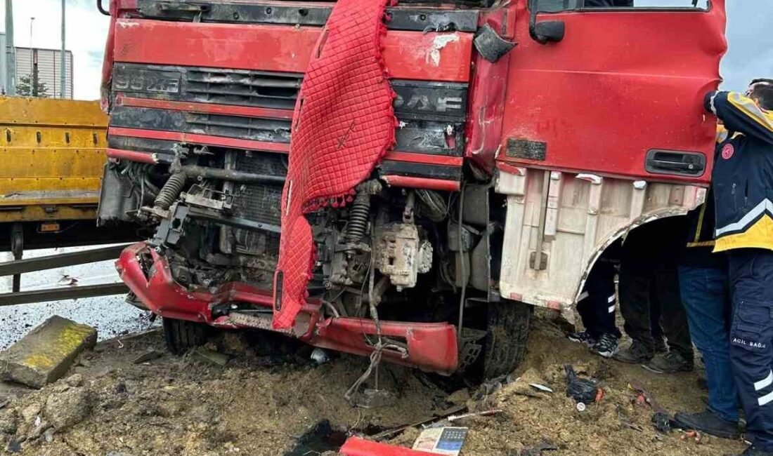Afyonkarahisar’da tır ile kamyonun çarpıştığı trafik kazasında 1 kişi hayatını